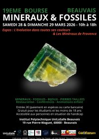 Troca de minerais e fósseis