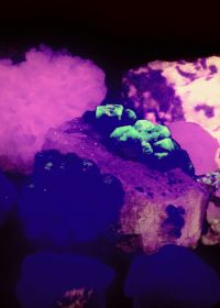 Minerais Fluorescentes: Quando as Pedras Brilham no Escuro Different fluorescent minerals Minerais Fluorescentes: Quando as Pedras Brilham no Escuro Different fluorescent minerals