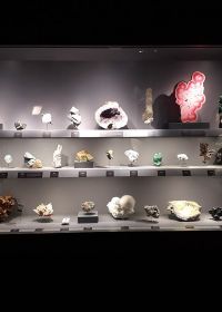 Galeria de Geologia e Mineralogia do Jardin des Plantes em Paris Museum national histoire naturelle Galeria de Geologia e Mineralogia do Jardin des Plantes em Paris Museum national histoire naturelle