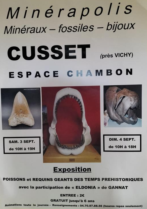 MINERAPOLIS exposição de fósseis, minerais e joias