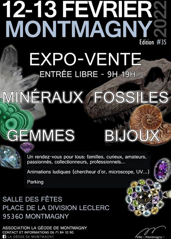 Joalheria de minerais fósseis de venda na Expo
