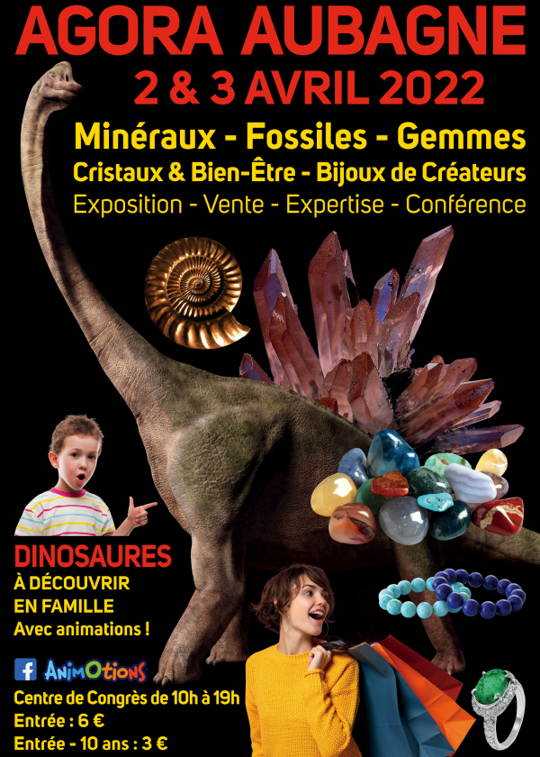 Salon Fossil Minerals Gems Cristais e bem-estar