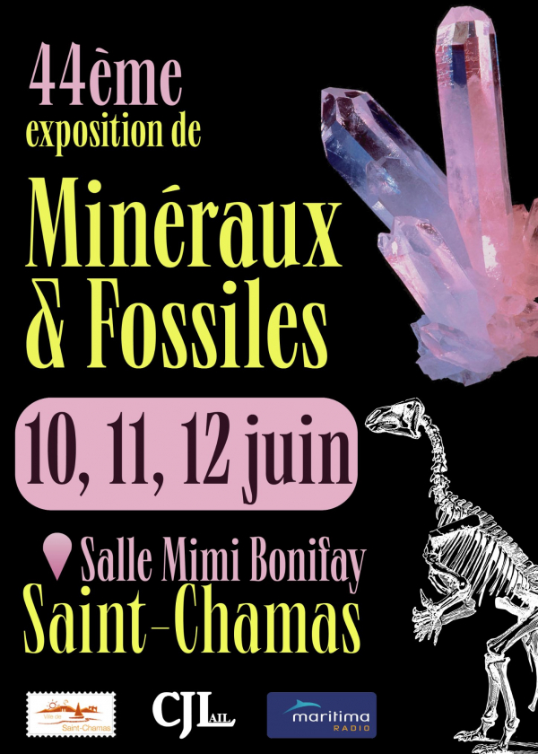 44ª Feira de Minerais e Fósseis