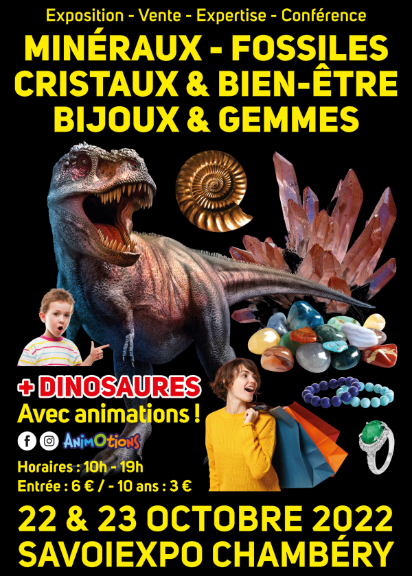 Fósseis Minerais Cristais e Bem-Estar Joalheria e Gemas Feira e Exposição de Dinossauros