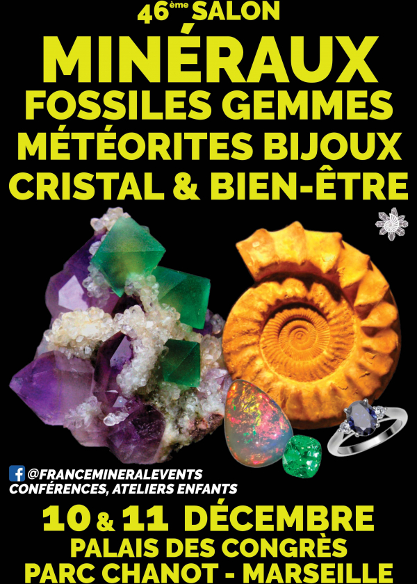 46ª Feira de Eventos Minéral em Marselha