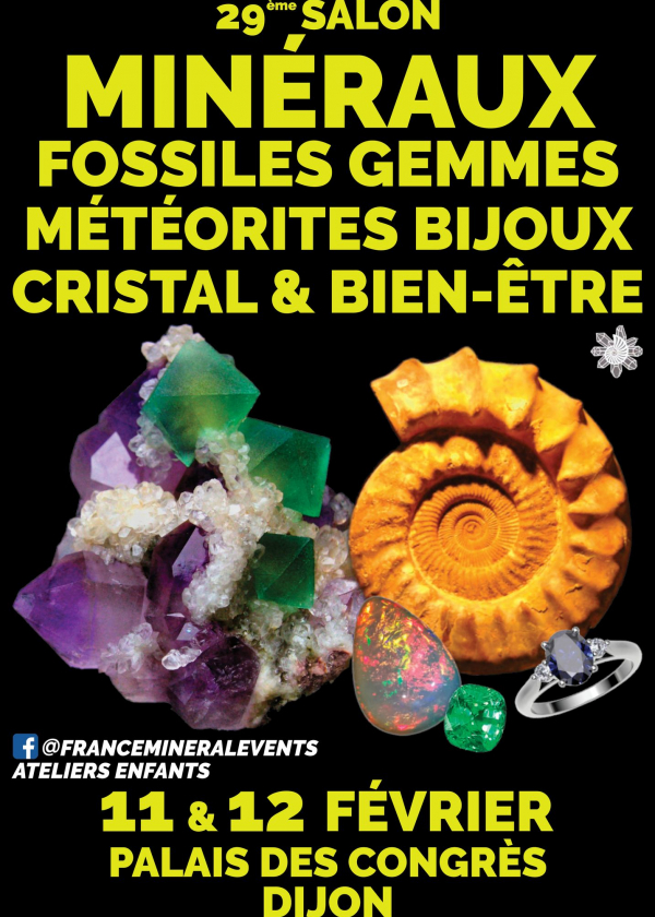 29º Evento Mineral Dijon