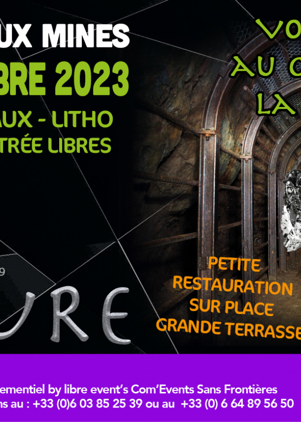 7ª venda europeia de minerais e litografia