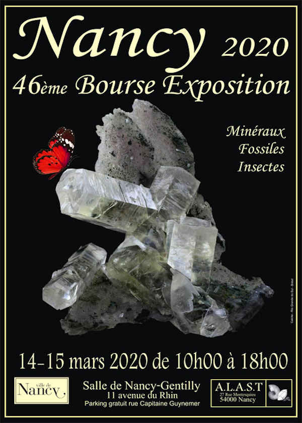 46ª exposição em bolsa de minerais fósseis e insetos