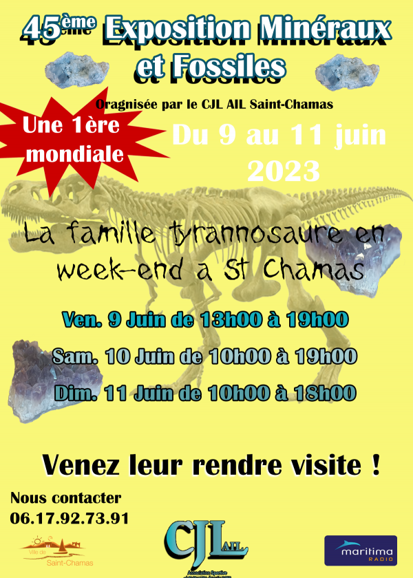 45ª Feira de Minerais e Fósseis