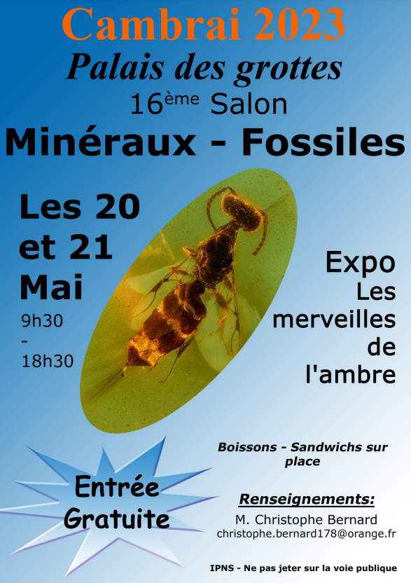 17ª Feira AGC de Minerais e Fósseis. Entrada gratuita das 9h30 às 18h30.