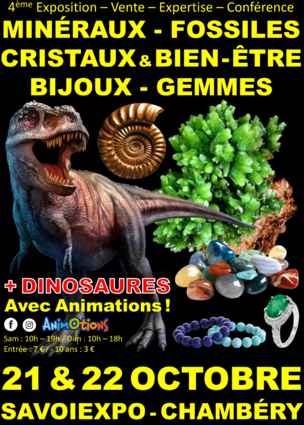 4ª Feira de Minerais Fósseis Cristais e Bem-Estar