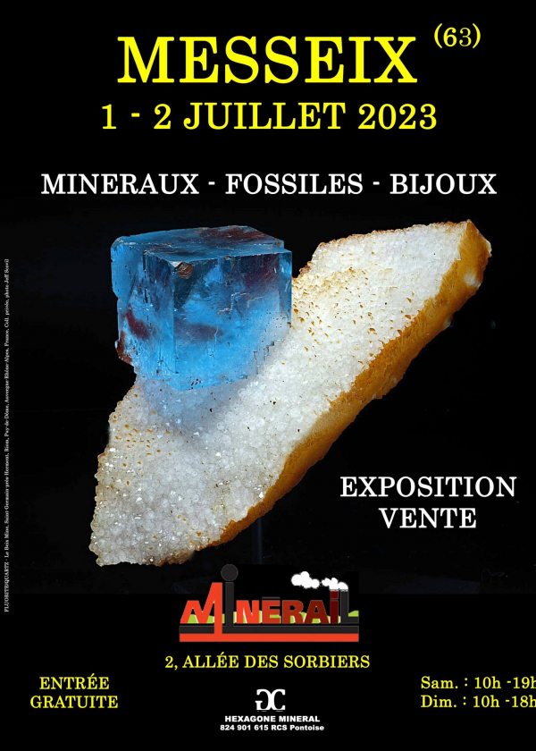 1ª EXPOSIÇÃO DE VENDA DE MINERAIS FÓSSEIS DE JÓIAS