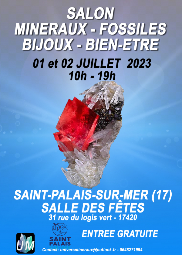 Feira de minerais, fósseis, joias de grife e bem-estar.