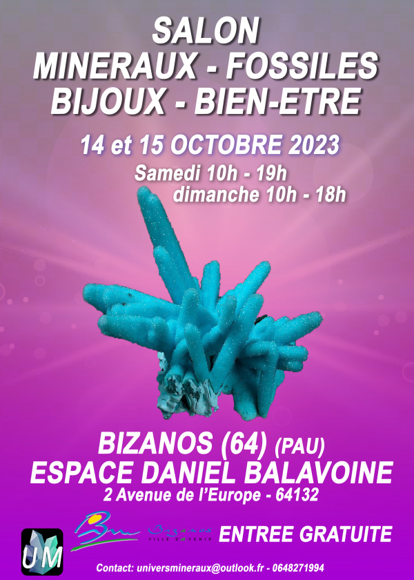 Feira de minerais, fósseis, joias de grife e bem-estar.