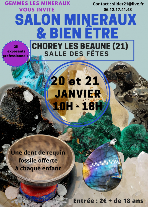 Minerais, fósseis, meteoritos e show de bem-estar