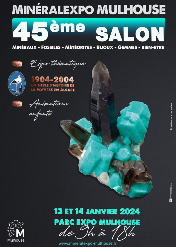 45ª exposição Minéralexpo-Mulhouse