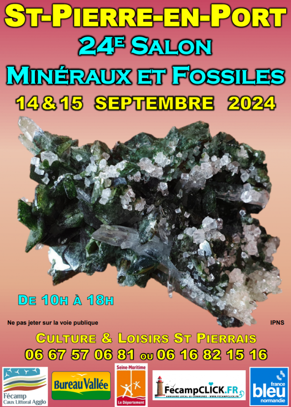 24 EME Troca de minerais e fósseis de Saint Pierre en Port