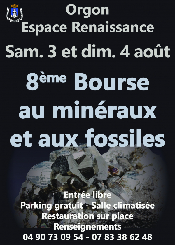 8ª bolsa joias de minerais fósseis