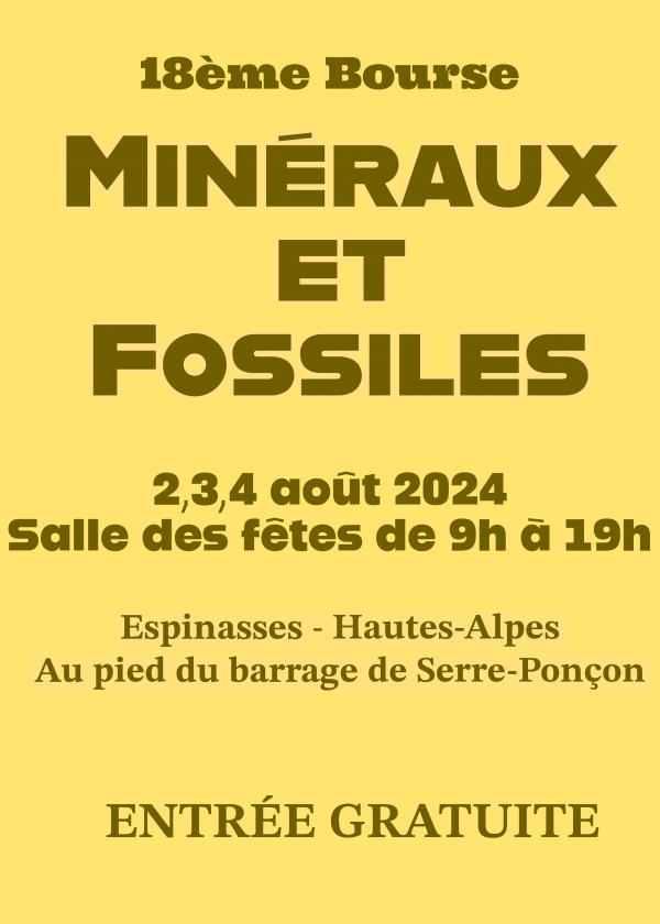 18ª troca de minerais e fósseis.