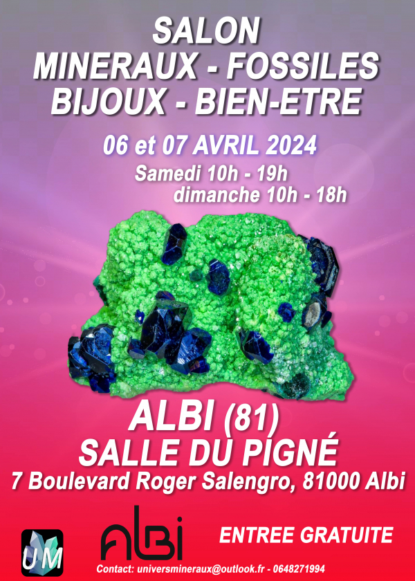 Feira de minerais, fósseis, joias de grife e bem-estar.