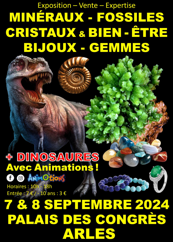 Minerais Fósseis Cristais e Bem-estar Show Joias e Gemas + Exposição de Dinossauros