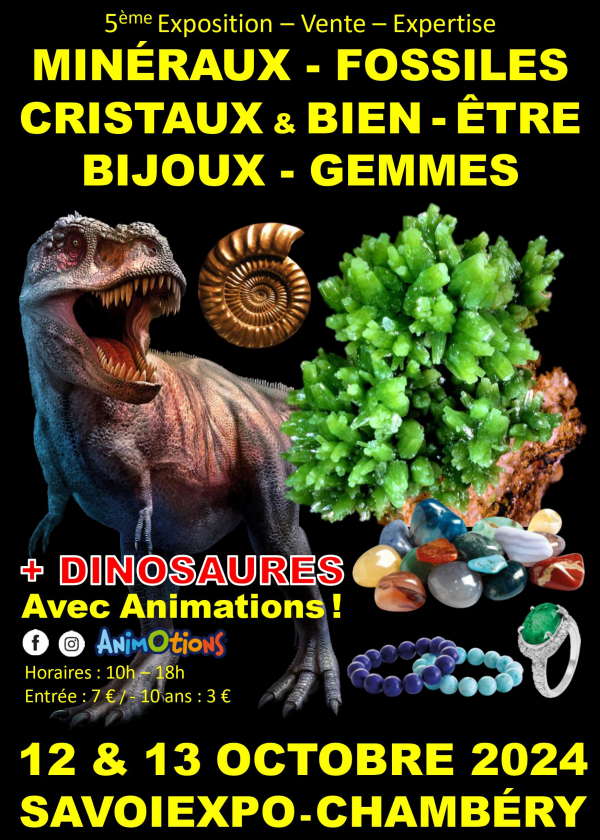 5ª Exposição Minerais Fósseis Cristais Chambéry