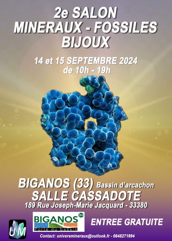 Mostra de minerais, fósseis e joias de grife