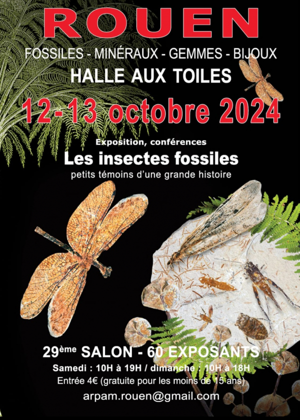 29ª Exposição Internacional de Rouen 2024 Fósseis, Minerais, Gemas e Joias