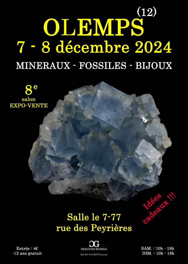 8ª EXPOSIÇÃO DE JÓIAS DE MINERAIS FÓSSEIS