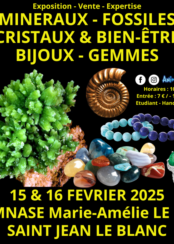 45ª Exposição Minerais Fósseis Cristais e Bem-Estar Joias e Gemas