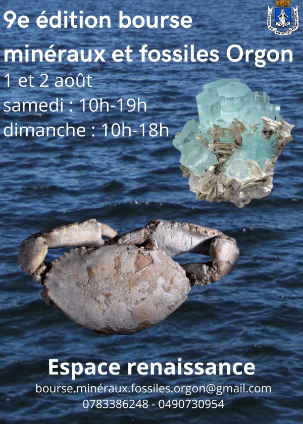 9ª bolsa minerais fósseis jóias meteoritos