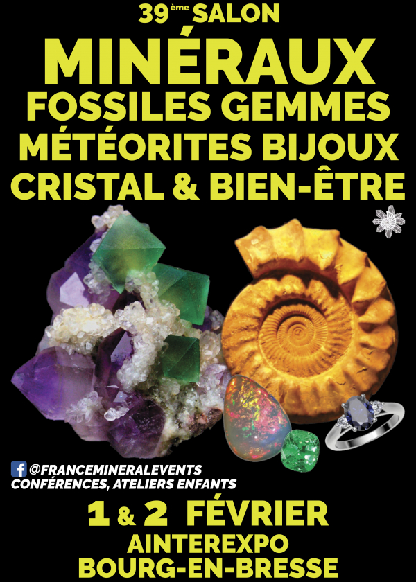 39ª Mostra MineralEvento Bourg-en-Bresse