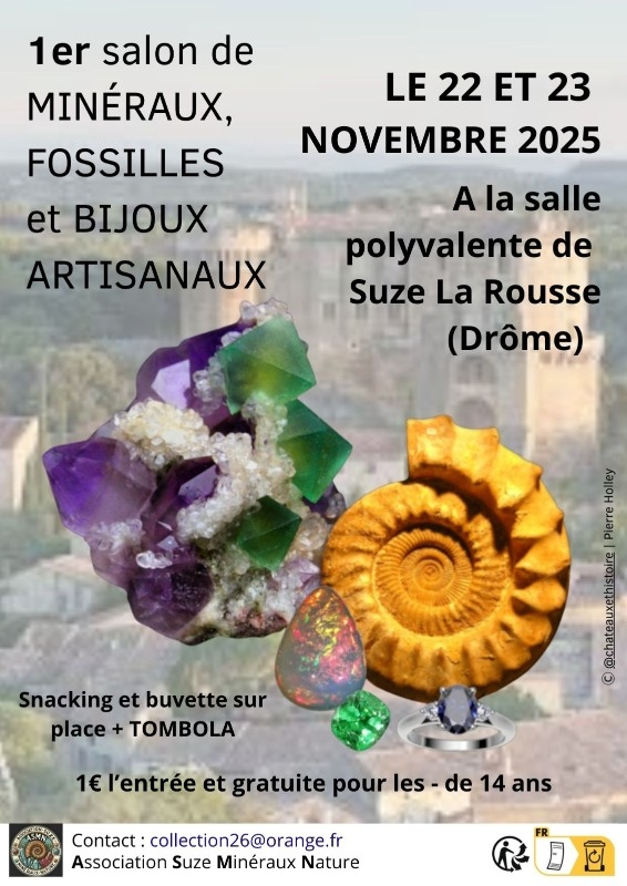 Troca de joias minerais, fósseis e artesanais