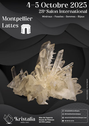 28ª Exposição Internacional de Mineralogia, Fósseis, Gemas e Joias