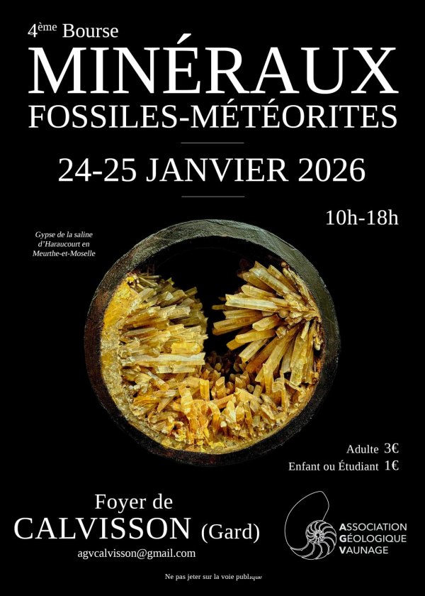 4ª Feira de Minerais, Fósseis e Meteoritos
