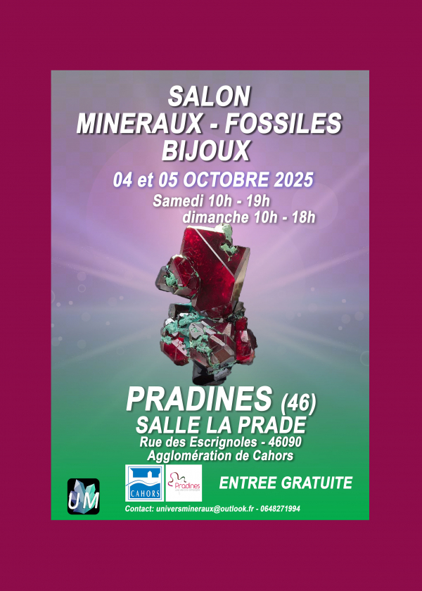 Exposição de minerais, fósseis e joias de design.