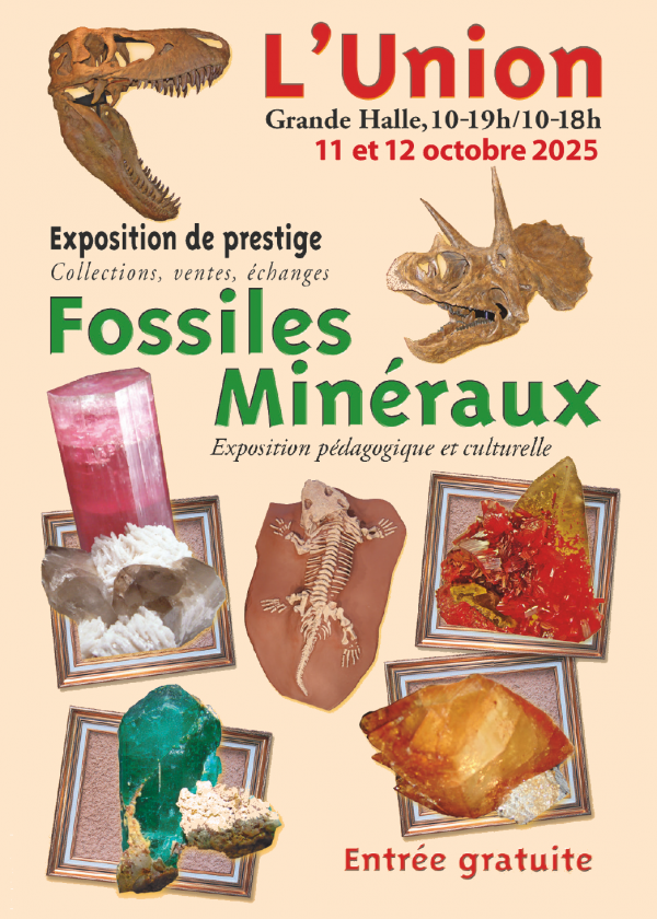 23ª Exposição de Minerais e Fósseis da União
