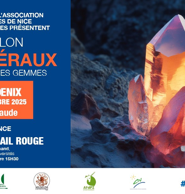 40ª Exposição de Minerais, Fósseis e Pedras Preciosas