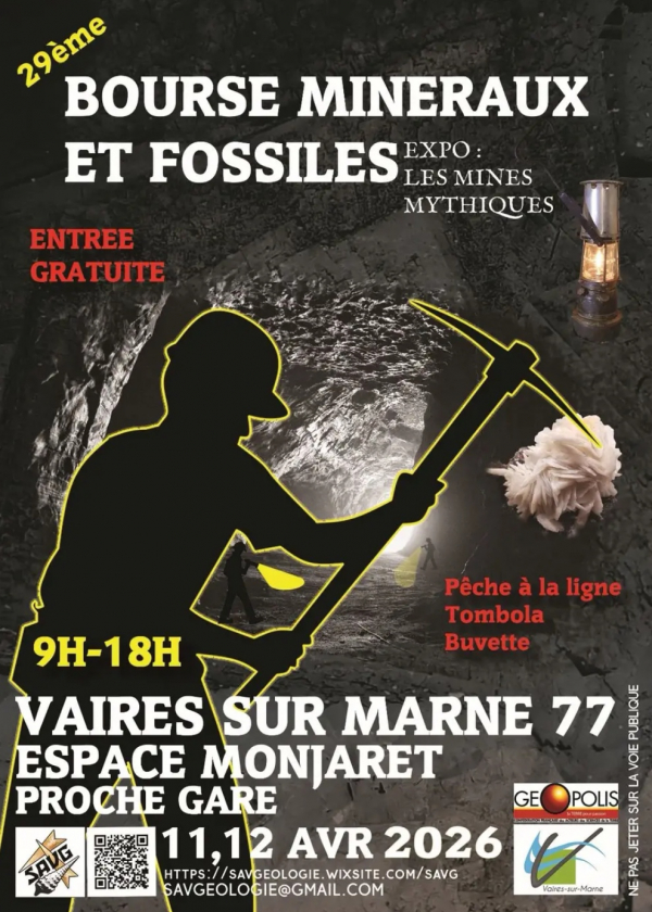 29ª Exposição de Minerais e Fósseis