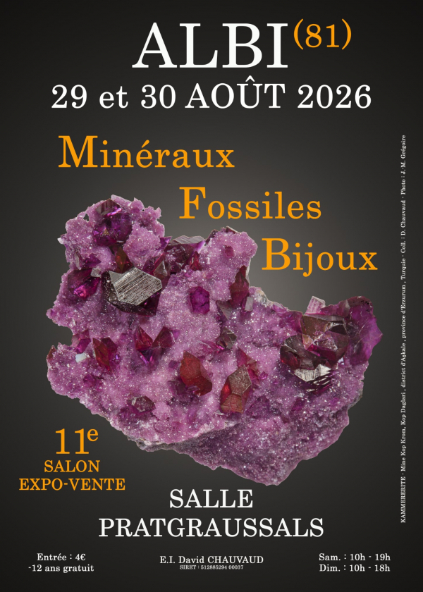11ª Exposição de Minerais, Fósseis e Joias