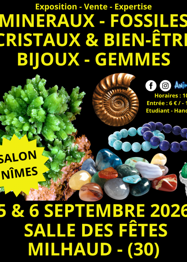 Exposição de Minerais, Fósseis e Cristais