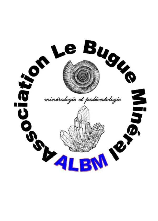 Troca de minerais e fósseis