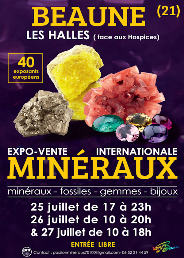 Feira de minerais e fósseis
