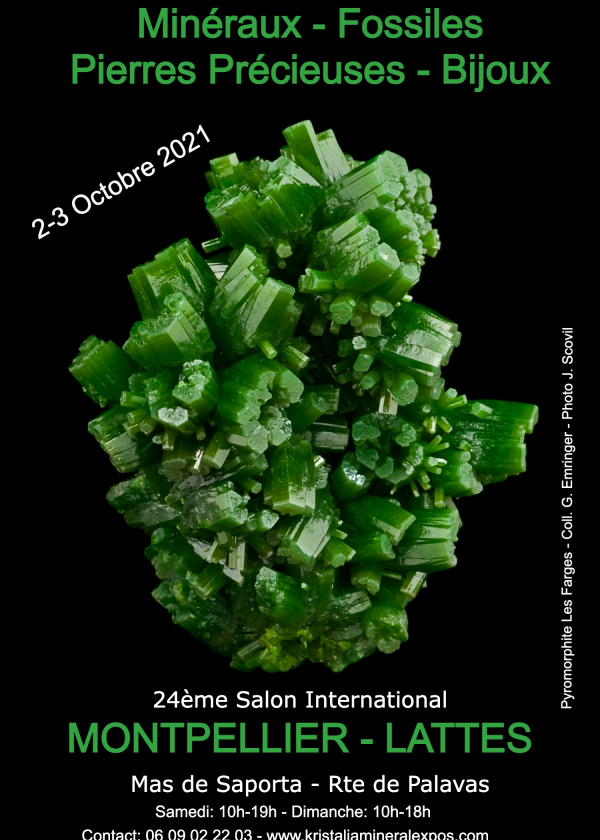 24ª feira internacional de joias de minerais fósseis