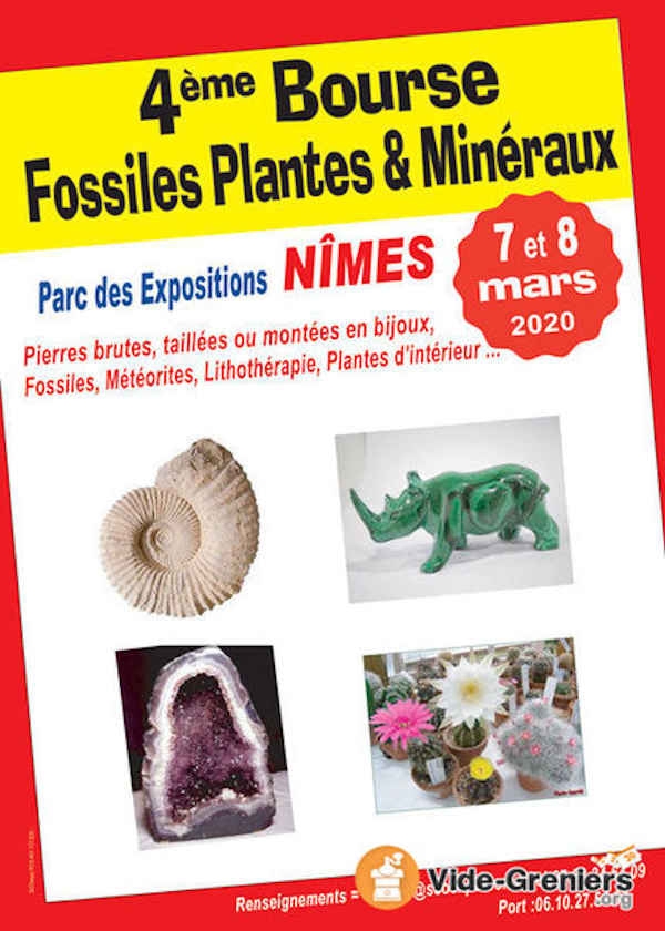 4ª Troca de Fósseis, Plantas e Minerais
