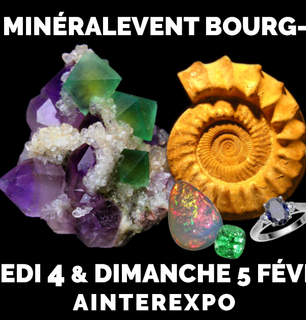 37º Evento Mineral Bourg-en-Bresse