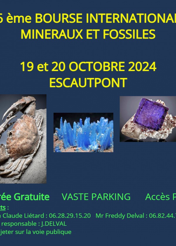26ª Mostra Internacional de Minerais e Fósseis