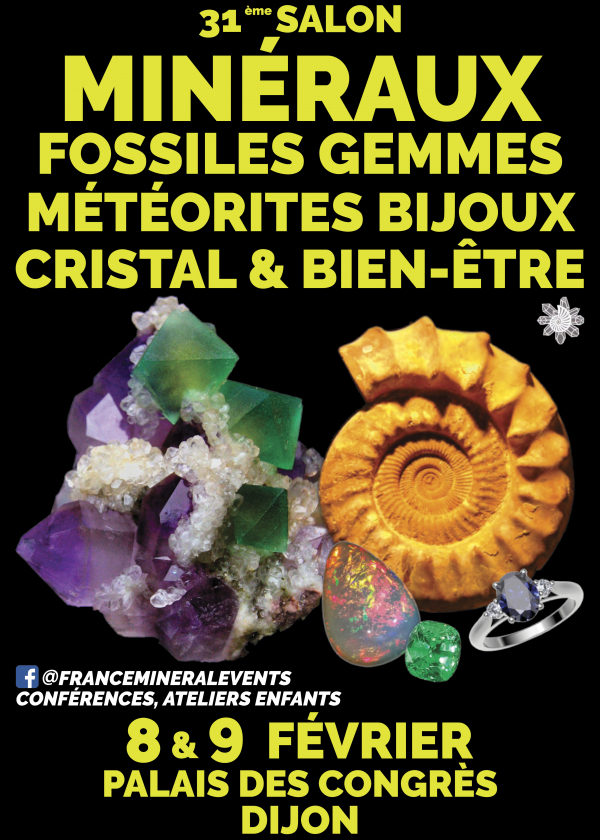 31º Salão MinéralEvento Dijon 31º Salão MinéralEvento Dijon