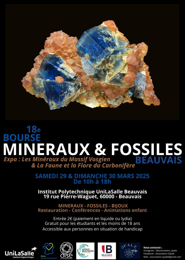 Bolsa de Minerais e Fósseis de Beauvais (18ª Edição)