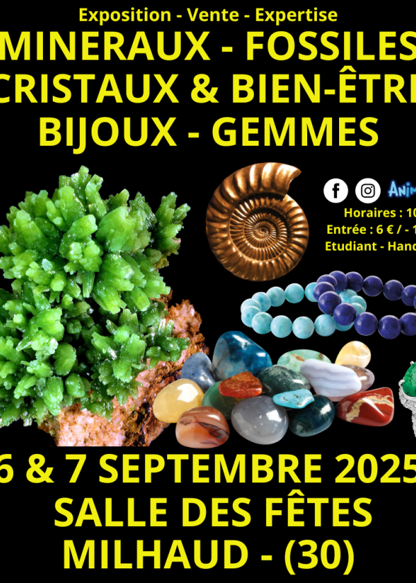 Feira de Minerais, Fósseis, Cristais e Bem-Estar, Joias e Gemas em Nîmes